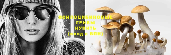 прущий лед Волоколамск
