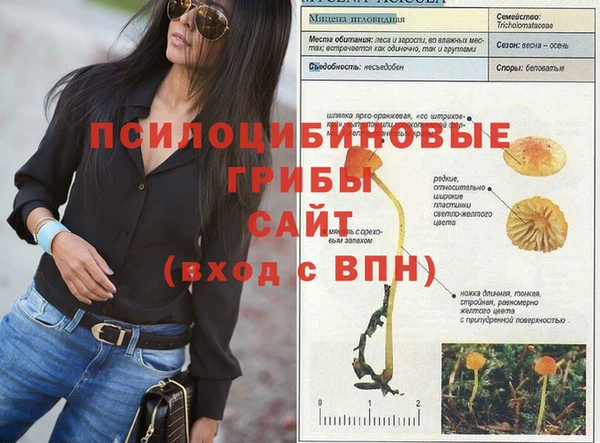 экстази Нея