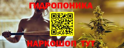 прущие грибы Кинель