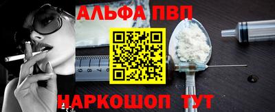 СК Кингисепп