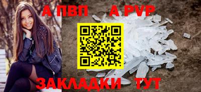 СК Кингисепп