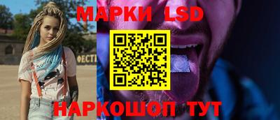 СК Кингисепп