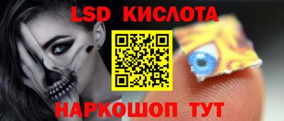 СК Кингисепп