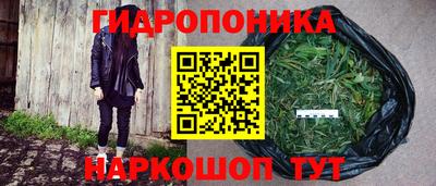 прущие грибы Кинель