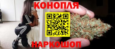 СК Кингисепп