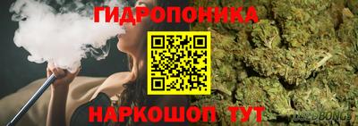 СК Кингисепп