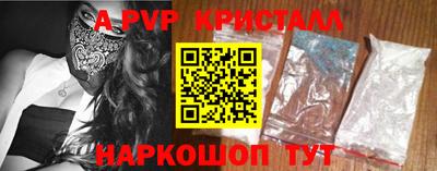 СК Кингисепп