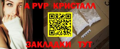 СК Кингисепп