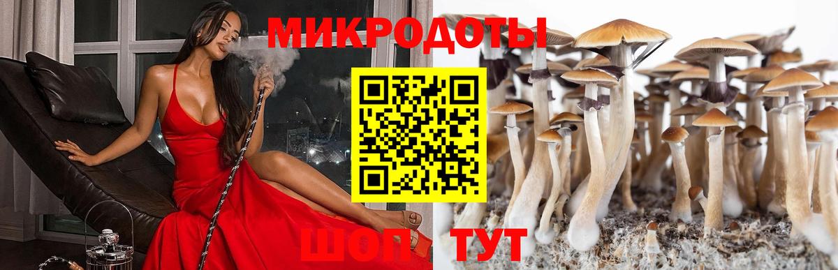 Псилоцибиновые грибы прущие грибы  Вход с VPN  Галлюциногенные грибы прущие грибы  Уфа 